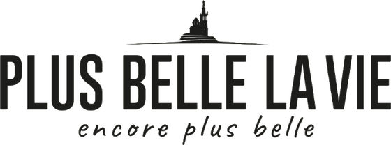 Logo Plus Belle La Vie (TF1)